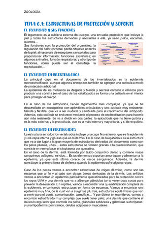 TEMA-6.1-ZOOLOGIA.pdf