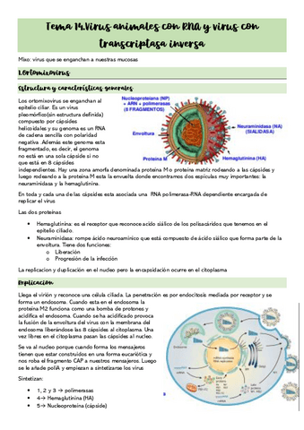 Tema-14.Virus-animales-con-RNA-y-virus-con-transcriptasa-inversa.pdf