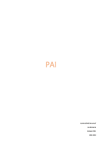 PAE.pdf