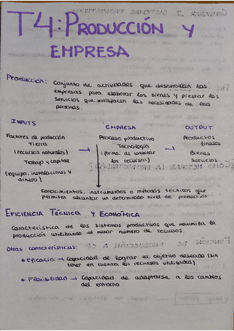 Tema-4-Produccion-y-empresa.pdf
