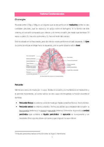 Tema-8.-Sistema-cardiovascular.pdf