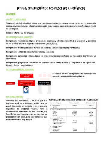 Tema-6-evaluacion-neuropsicologica.pdf