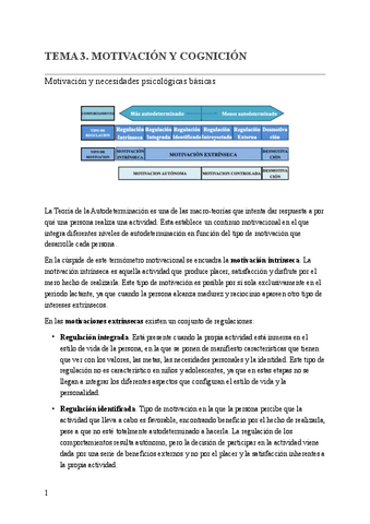 TEMA-3-MOTIVACION-Y-COGNICION.pdf