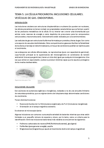 TEMA-5-mis-apuntes-micro.pdf
