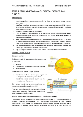 TEMA-6-mis-apuntes-micro.pdf