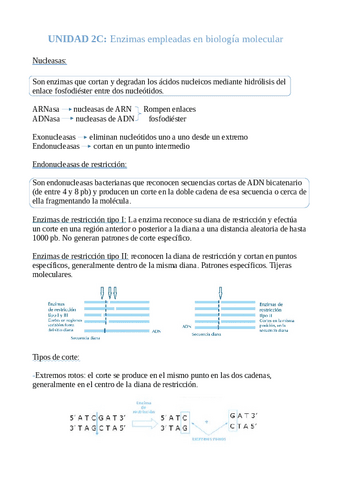 Enzimas empleadas en Biología Molecular.pdf