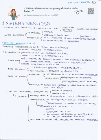 esquemas-sistema-nervioso-jorgecobo.pdf