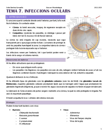 Tema-7.-Infeccions-oculars.pdf