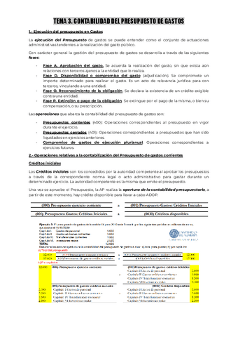 Tema-3.-Contabilidad-publica.pdf