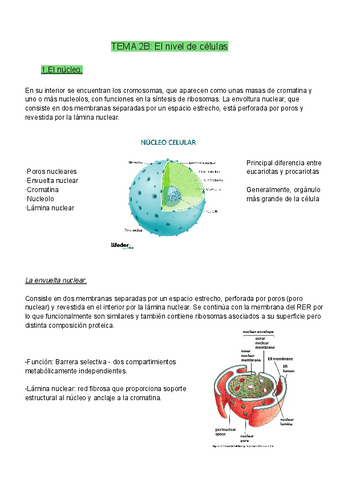 Parte-2.pdf