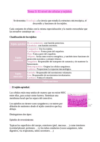 T3-El nivel de células y tejidos.pdf