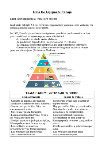 T15-Equipos de trabajo.pdf