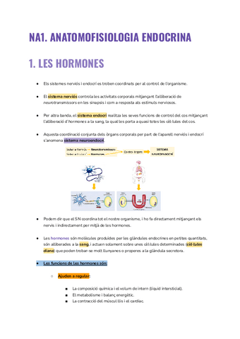 UD3 Anatomofisiologia endocrina.pdf