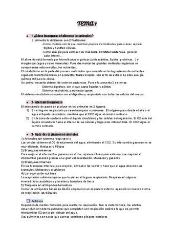TEMA-7-y-8-Nutricion-en-animales- 1 BACH.pdf