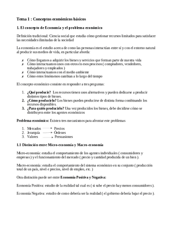 tema-1-economia.pdf