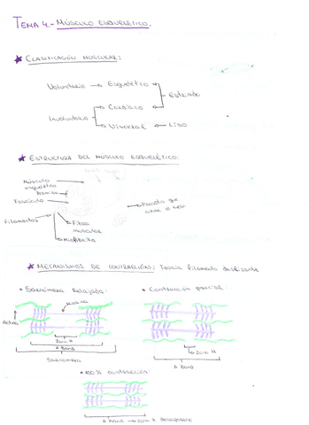 Tema-4-Fisiologia.pdf