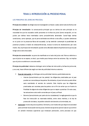TEMA-1Introduccion-al-proceso-penal.pdf