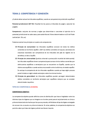 TEMA-2Competencia-y-conexion.pdf