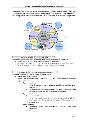 Tema-1-economia.pdf