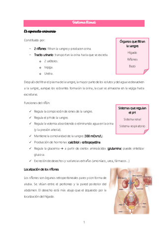 Tema-9.-Sistema-Renal.pdf