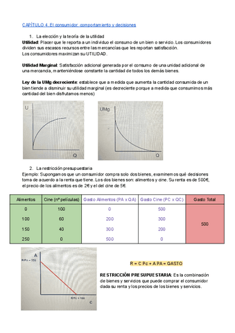 CAPITULO-4-Documentos-de-Google.pdf
