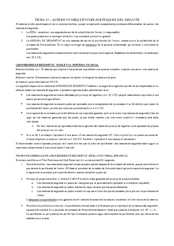 TEMA-11-ALTRES-CONSEQUENCIES-JURIDIQUES-DEL-DELICTE.pdf