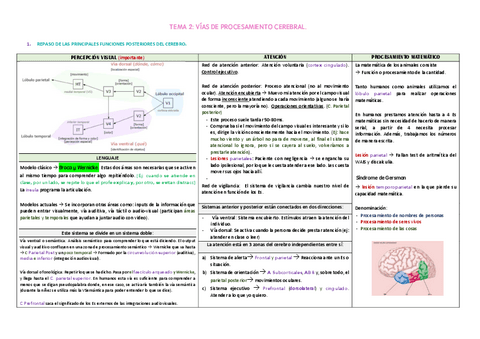 F-2-Vias-de-procesamiento-cerebral.pdf