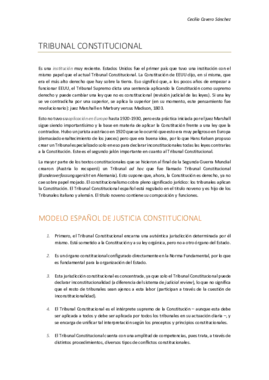 13. Tribunal Constitucional.pdf
