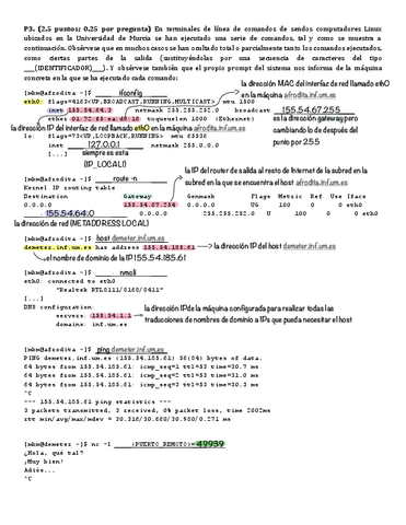 EJERCICIOS-COMANDOS.pdf