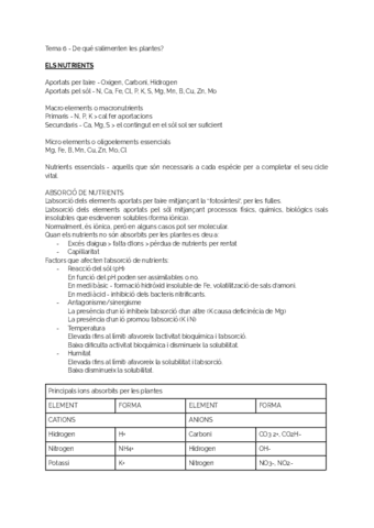 CTP-TEORIA-Tema-6.pdf