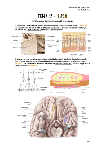 I-PCR.pdf
