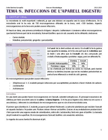 Tema-8.-Infeccions-del-aparell-digestiu.pdf