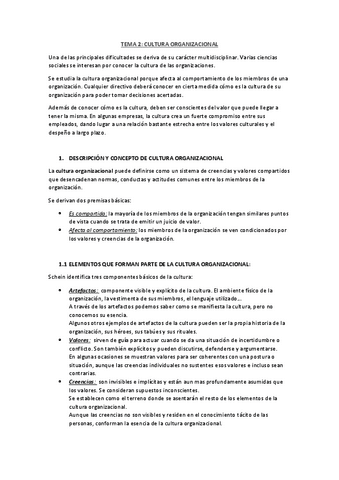 TEMA-2-DAE-resumen.pdf