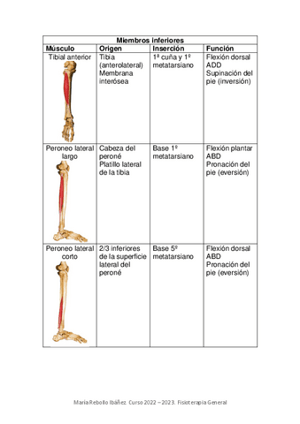 Resumen-musculos-para-masoterapia.pdf