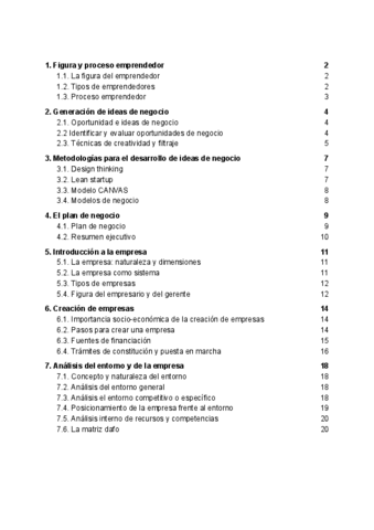 ResumenIniciativaEmpresarial4.pdf