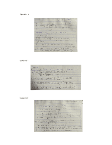 Ensayo-Alcocer-May-15-17.pdf