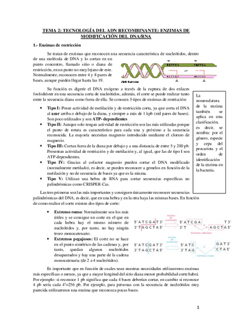 Temario-completo-G.molecular.pdf