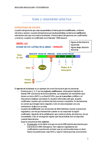 TEMA-2-3TRIMESTRE.pdf