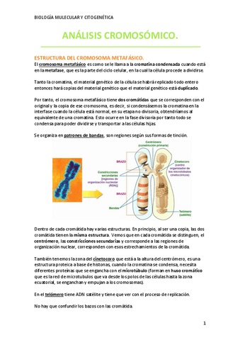 TEMA-3-3TRIMESTRE.pdf