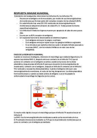 FISIO2-1TRIMESTRE.pdf