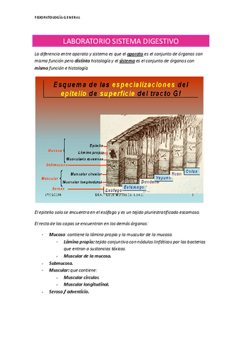 LABORATORIO-SISTEMA-DIGESTIVO.docx-1.pdf