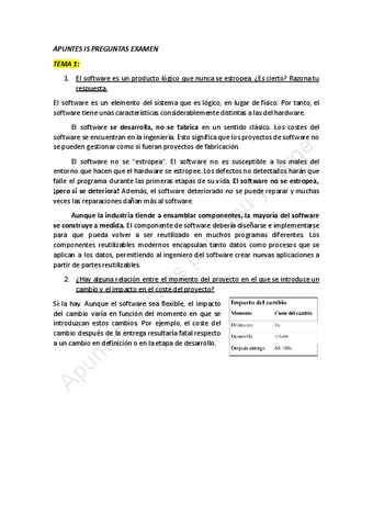 IS-PREGUNTAS-EXAMEN-RESUELTAS.pdf