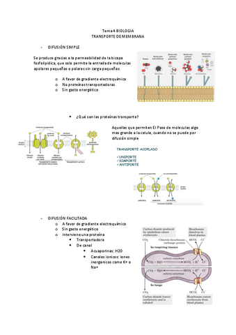 Transporte-de-membrana.pdf