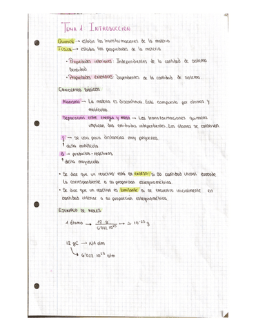Tema-1-Conceptos-Basicos.pdf