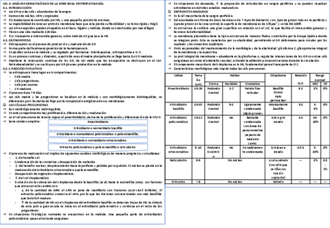 tema-4-hematologia-resumen.pdf
