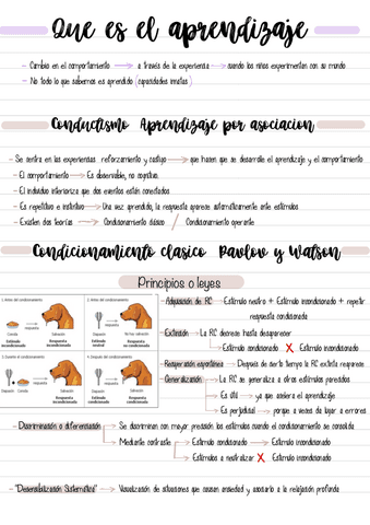 T2-Conductismo-resumen-examen.pdf