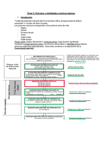 Tema-3-Fundamento-de-las-Habilidades-Motrices-Nerea-Cadenas.pdf