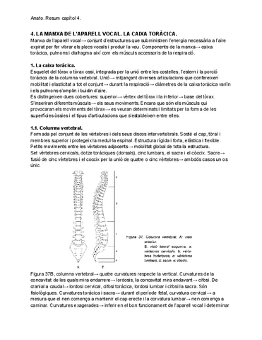 Anato.-Resum-capitol-4.pdf