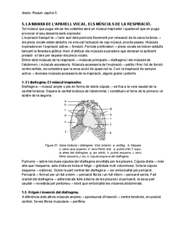 Anato.-Resum-capitol-5..pdf