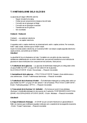 T.-9-METABOLISME-DELS-GLUCIDS.pdf